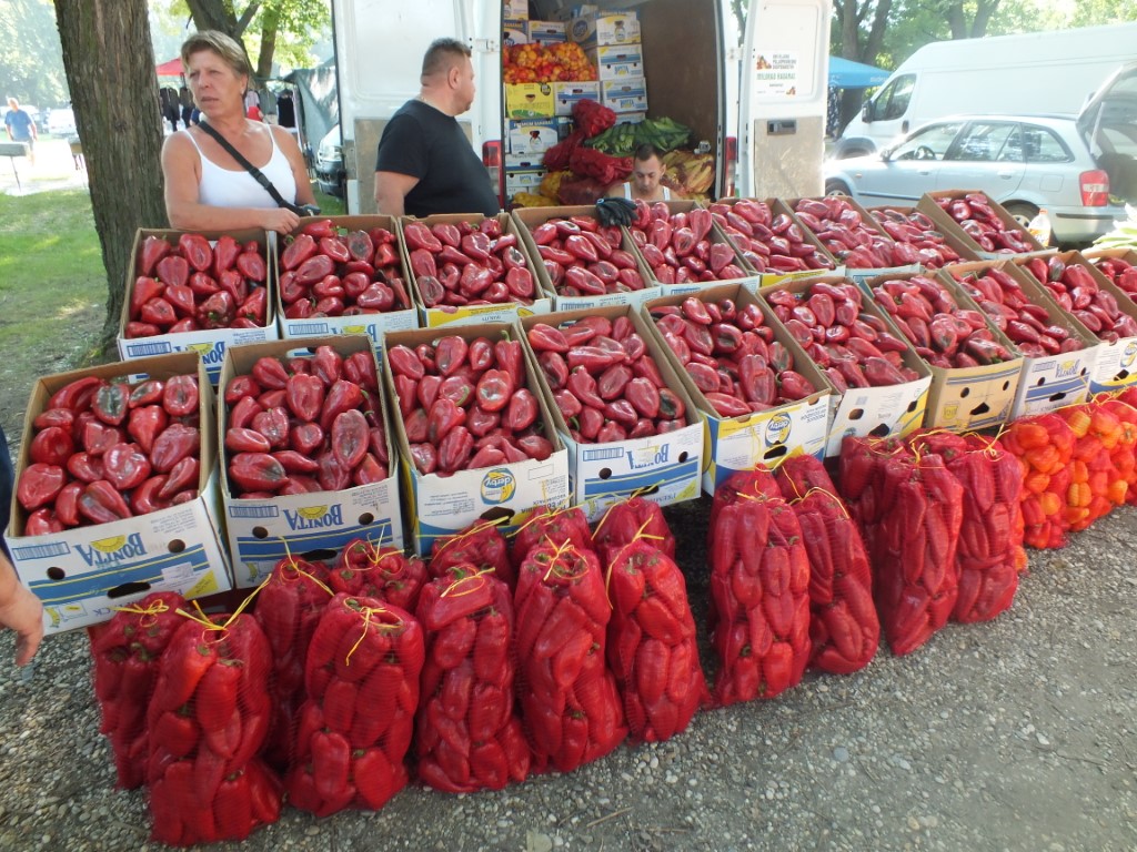 Image 5810857 (auto)