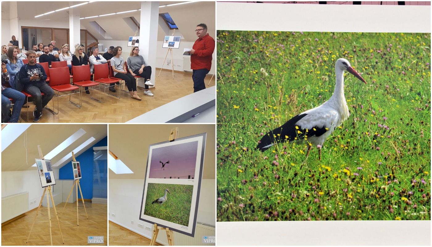 U Prelogu održano predavanje i otvorena izložba o bijeloj rodi