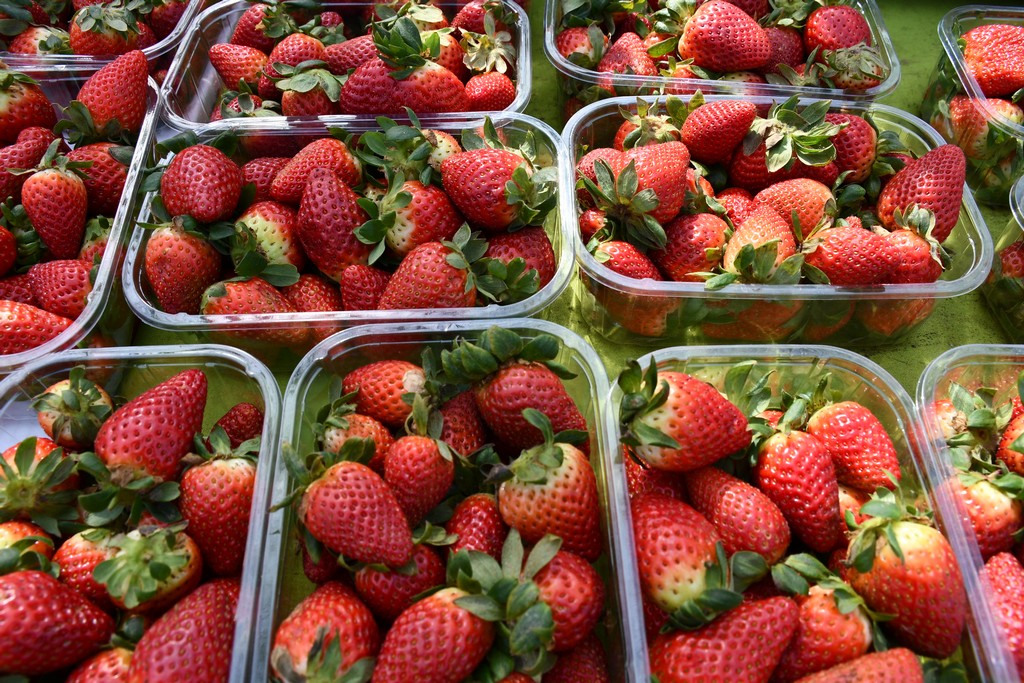 S dolaskom proljeća i toplijih dana živnuo je i čakovečki sajam