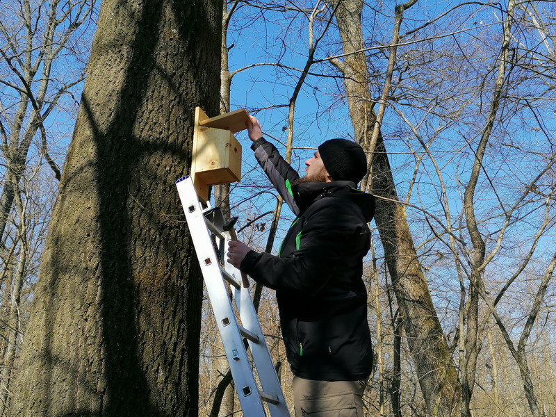Siniša Golub – ravnatelj Međimurske prirode