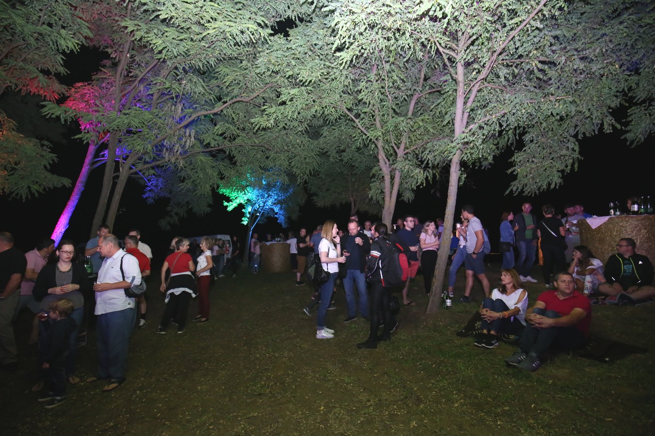 Odličan koncert Vatre u predivnom ambijentu Mađerkinog brega