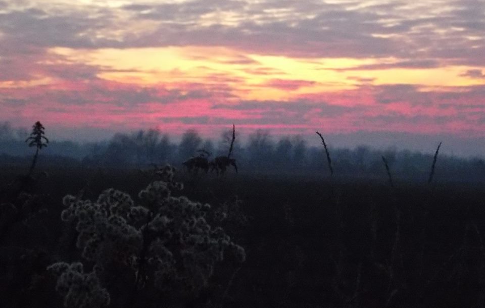 1265450816701974565765558181249