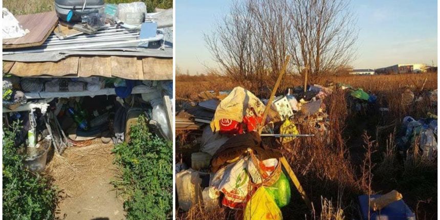 pjimage7777296416746 pjimage7777296416746