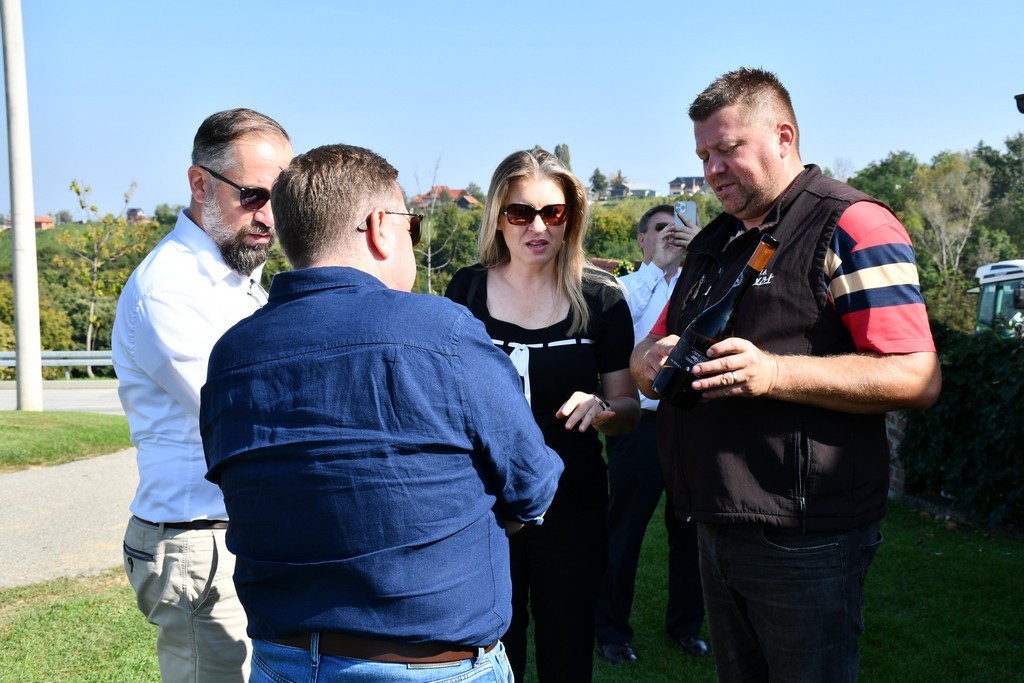 Vinarija Horvat, berba