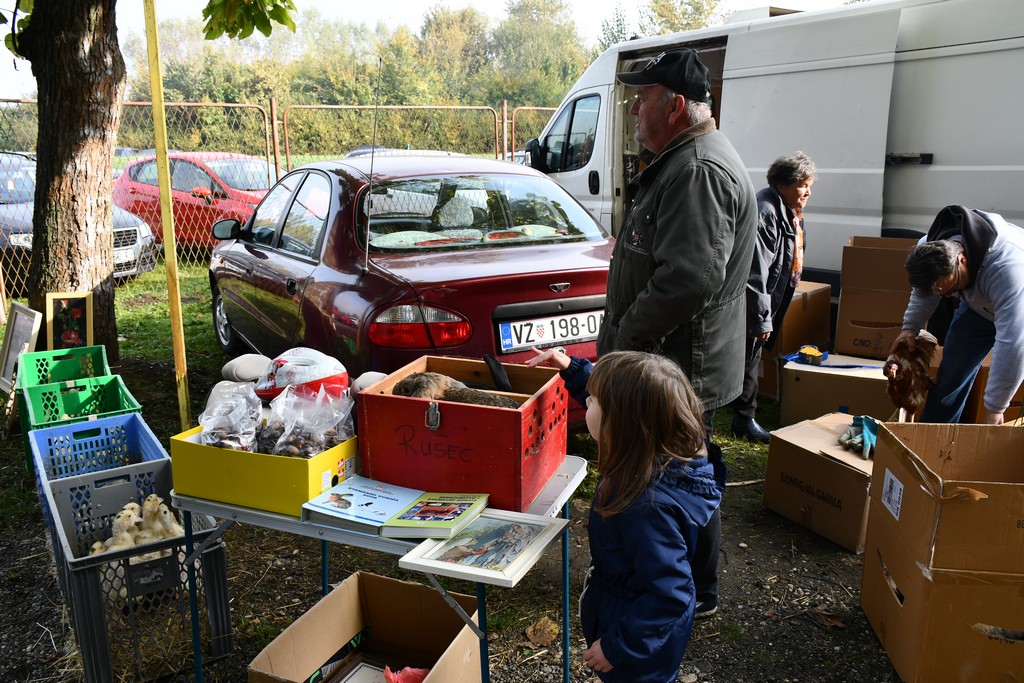 FOTO S dolaskom hladnijih dana povećan interes za kupnju drva za ogrjev