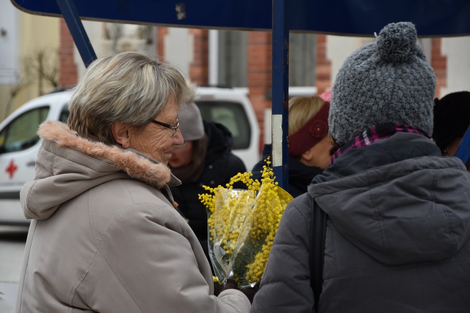 Dan mimoza u Čakovcu