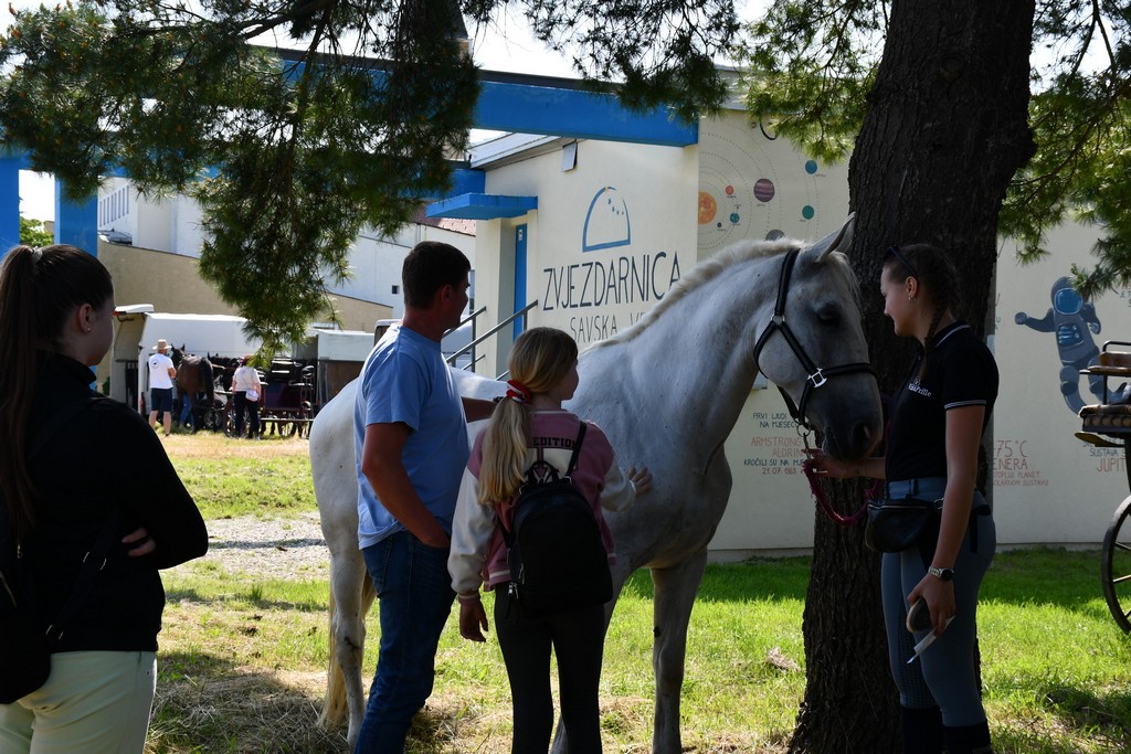 VIDEO I FOTO Međunarodno konjičko druženje okupilo brojne uzgajivače konja iz SZ Hrvatske te Slovenije i Austrije