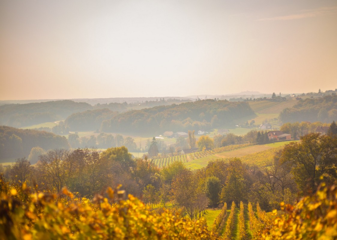 Jesenska rapsodija kroz objektiv Miroslave Novak