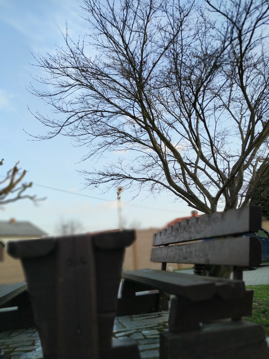 Dvorište Maje Mlakar