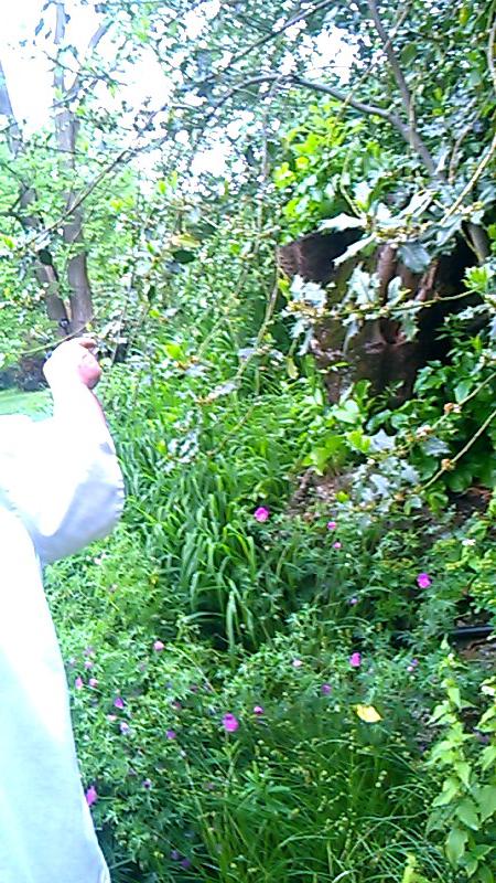 6c55d2b8ce0e82b2ea5b3fd274564cf