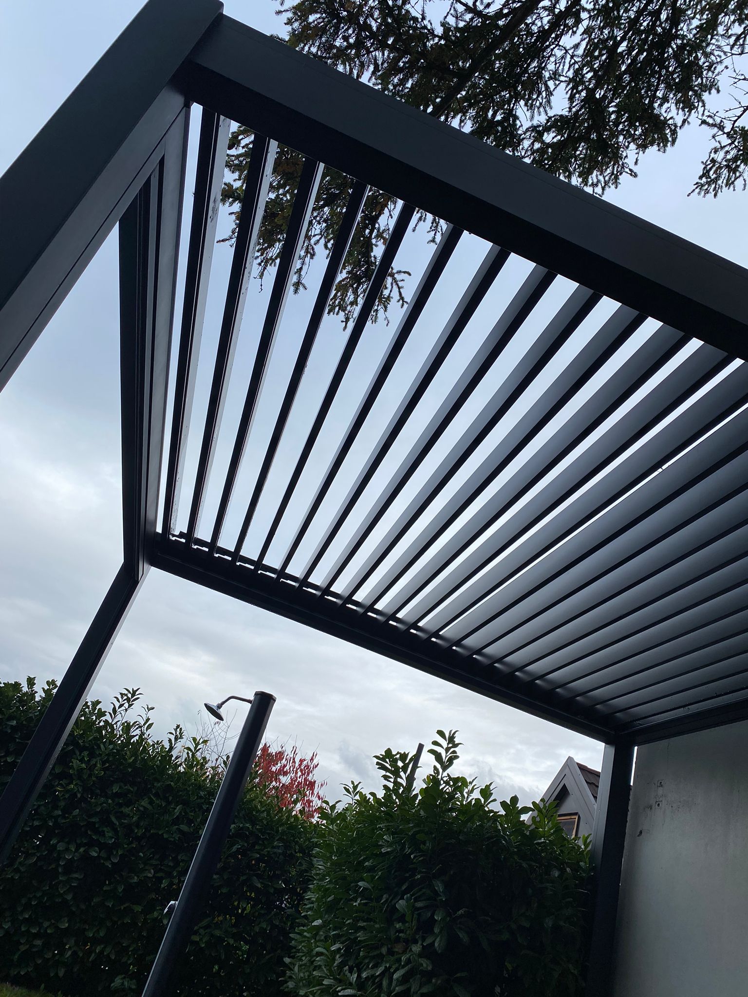 Image 5740863 (auto)