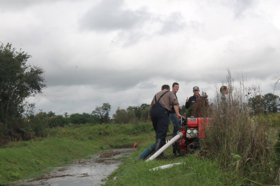 1064951182837389386425654534691