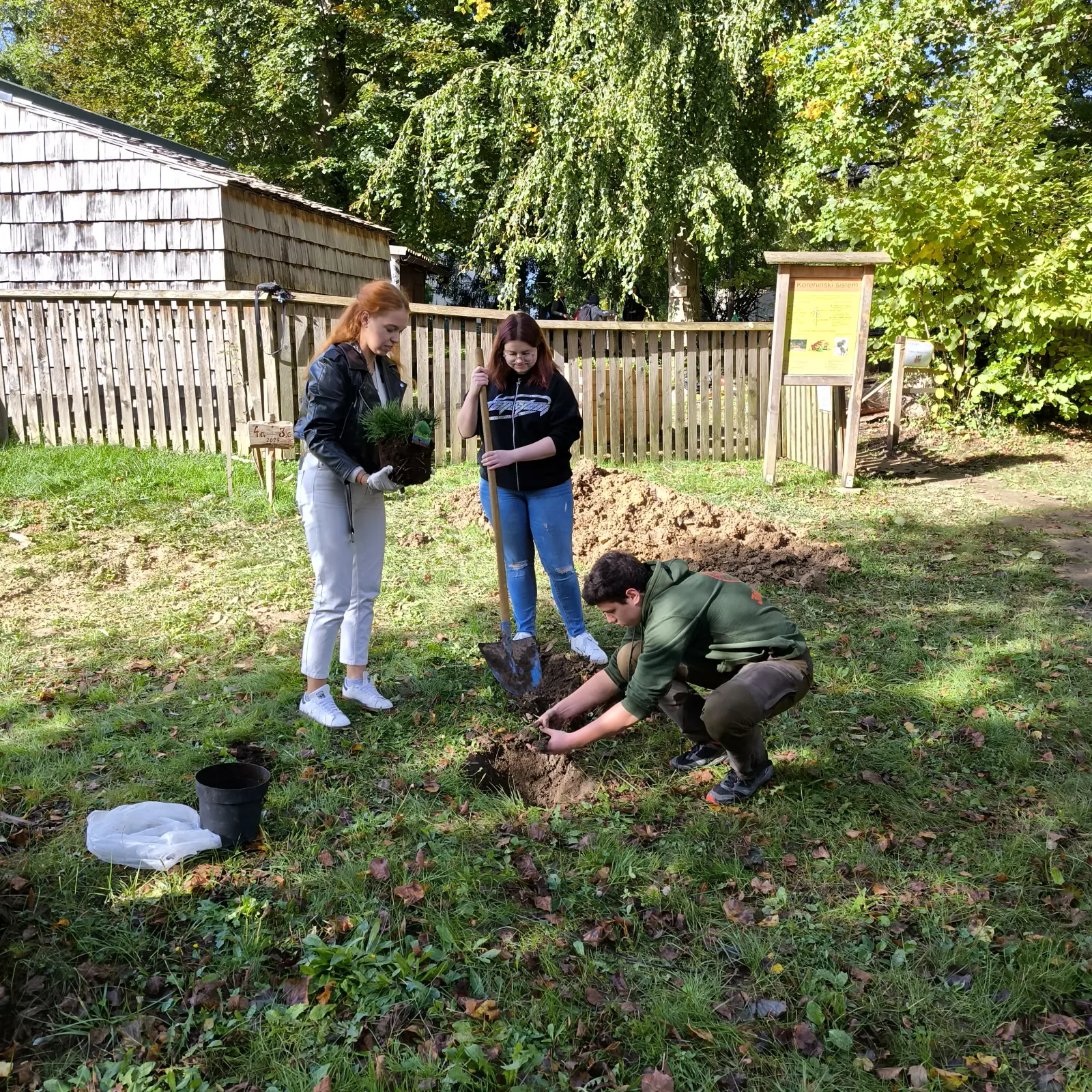 1728663875219 1728663875219