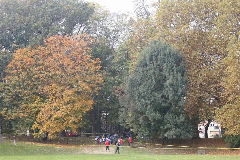 2269057210213284882853556353817