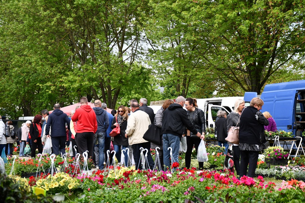 ČAKOVEČKI SAJAM SRIJEDOM Najveći interes i dalje vlada za presadnice