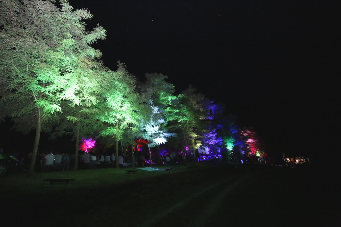 Odličan koncert Vatre u predivnom ambijentu Mađerkinog brega