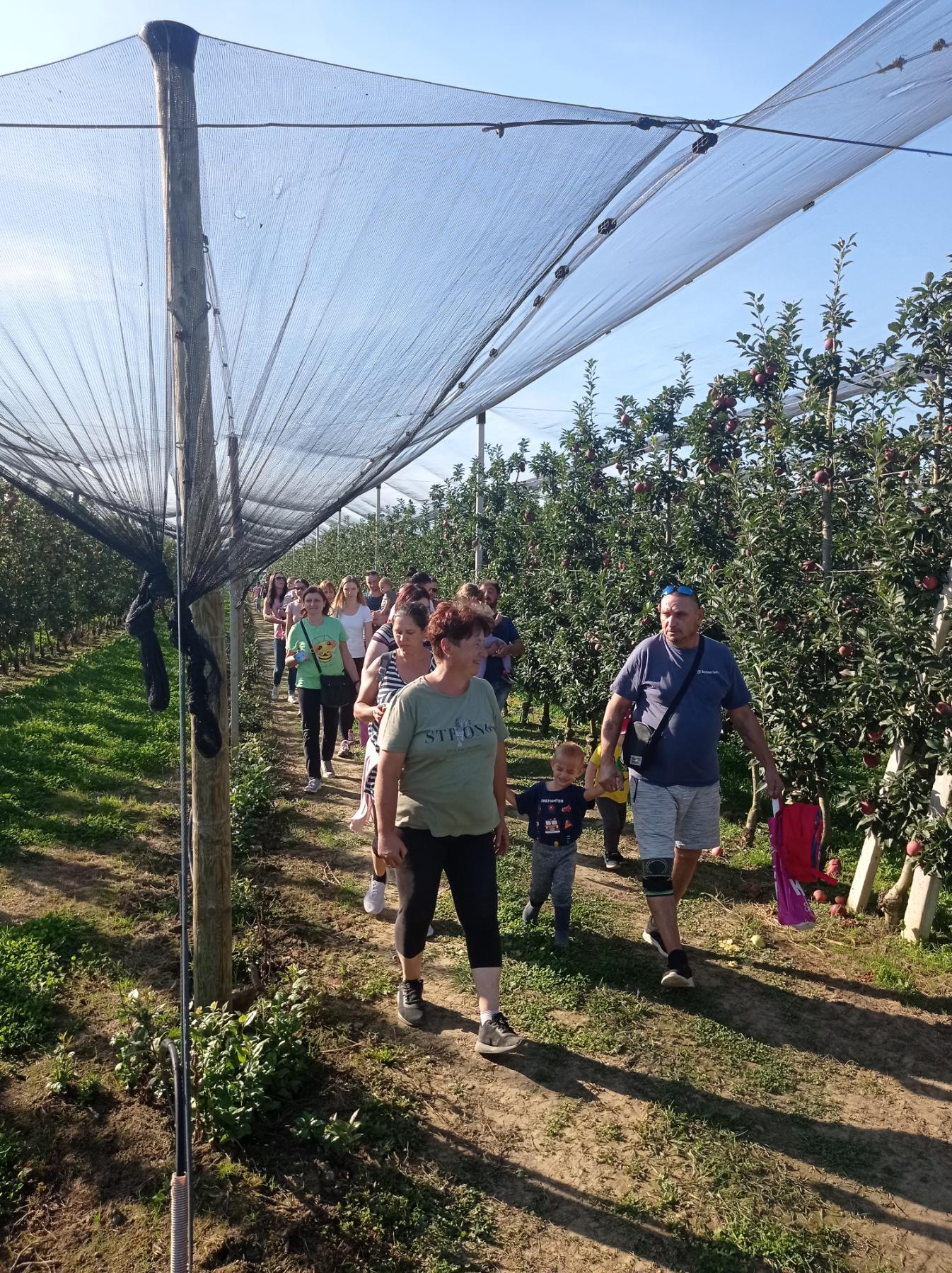 FOTO Mališani iz DV ‘Cipelica’ posjetili voćnjak jabuka OPG-a ‘Čeh’ iz Belice