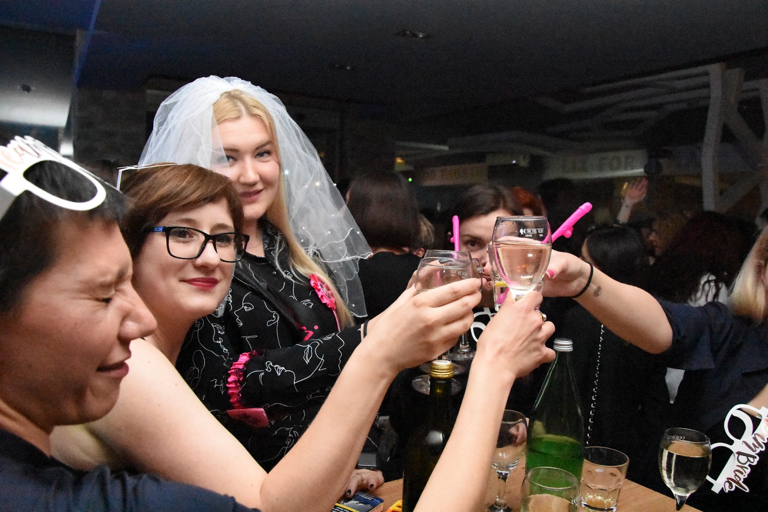 Nastup erotskih plesača u čakovečkom Paladinu