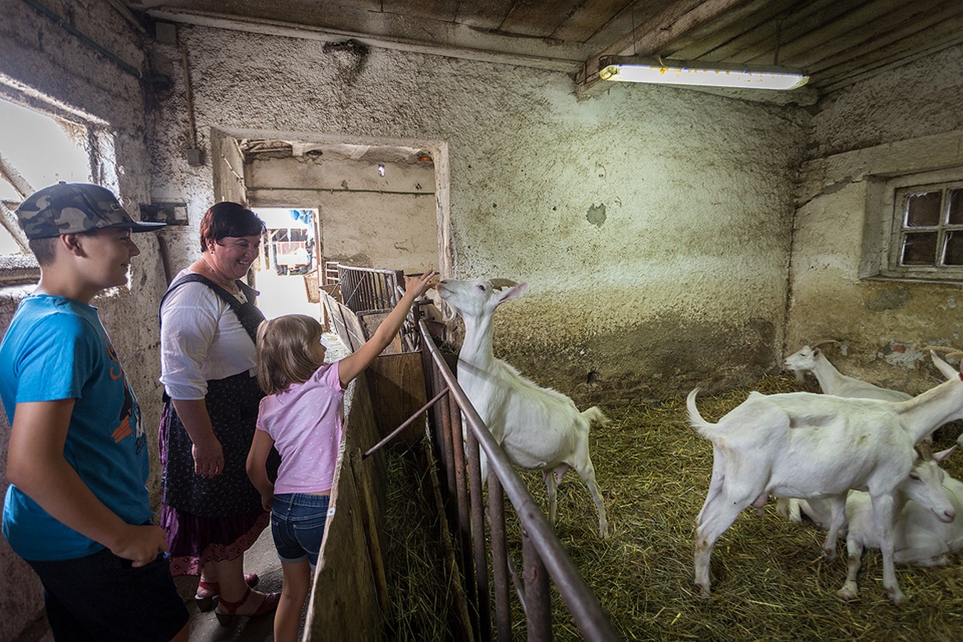 Dan otvorenih vrata OPG-a Zadravec u Oporovcu