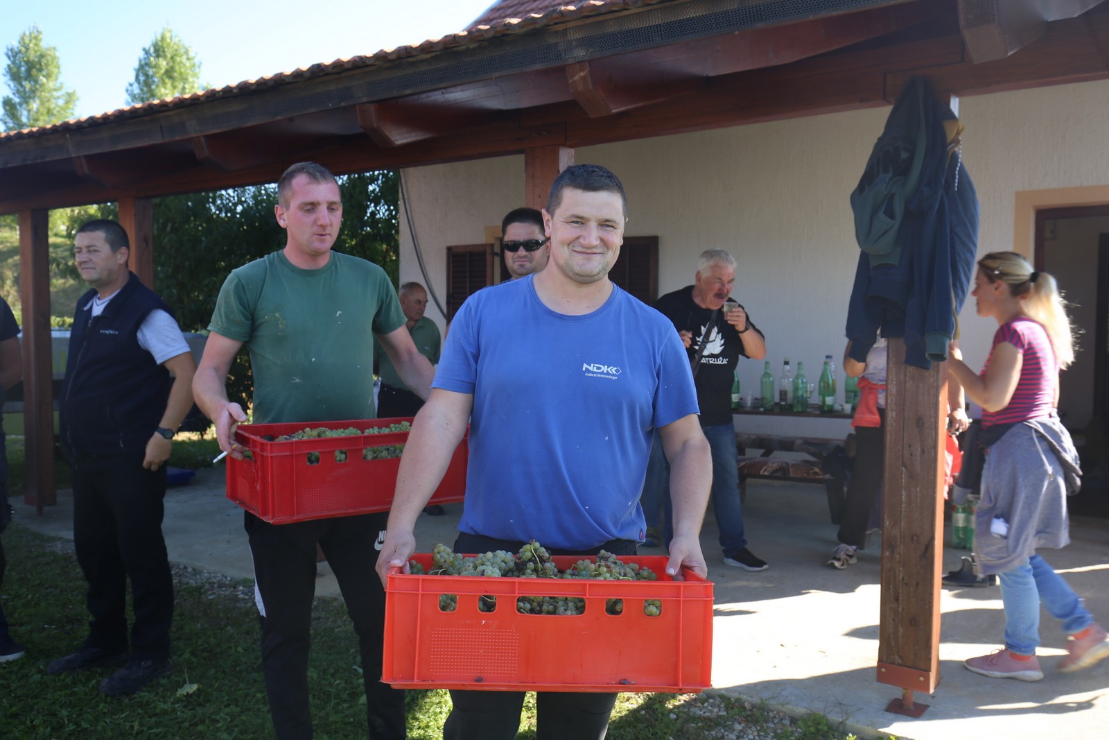 ‘Radio gorice za Katružu’: Tradicionalna humana berba po međimurskim bregima