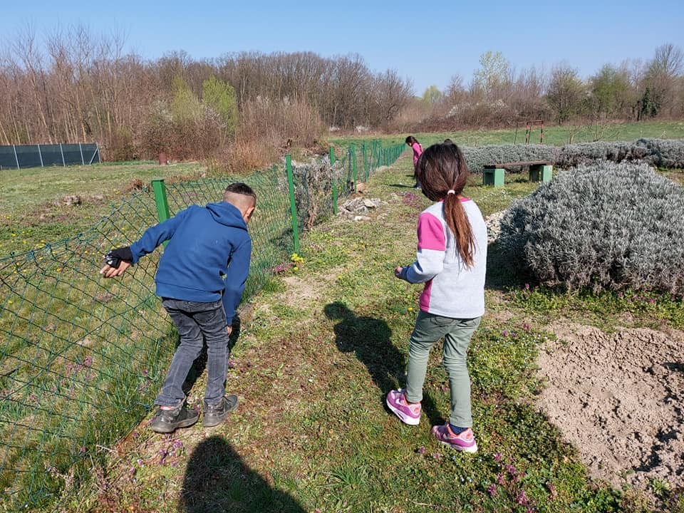 FOTO Područna škola Držimurec – Strelec: U dvorištu ih iznenadio zeko koji im je donio poklončiće za Uskrs FOTO Područna škola Držimurec – Strelec: U dvorištu ih iznenadio zeko koji im je donio poklončiće za Uskrs