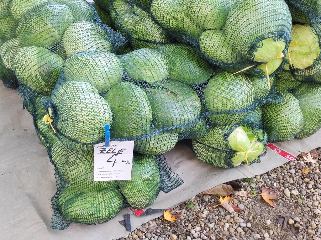 SAJAM SRIJEDOM Jeste li već probali meksički krastavac ili čajot?