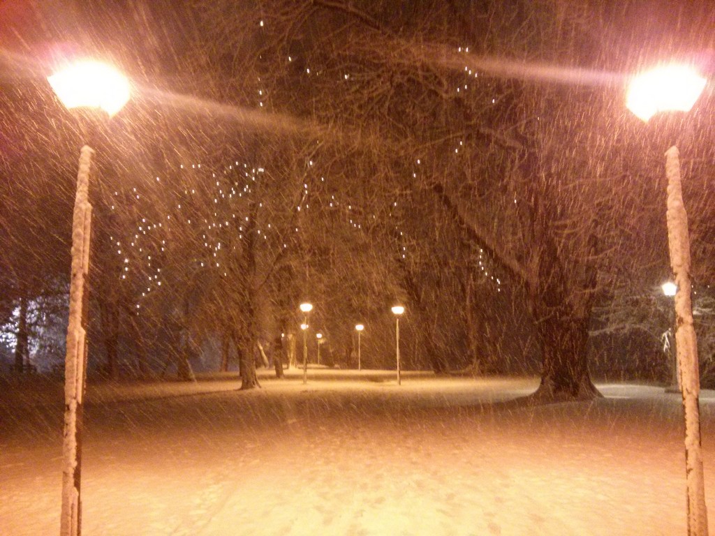 img20141228042640536091