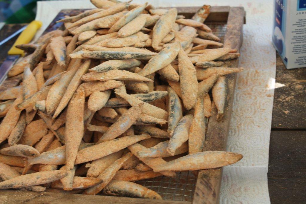 Humanitarna podjela ribica u Nedelišću