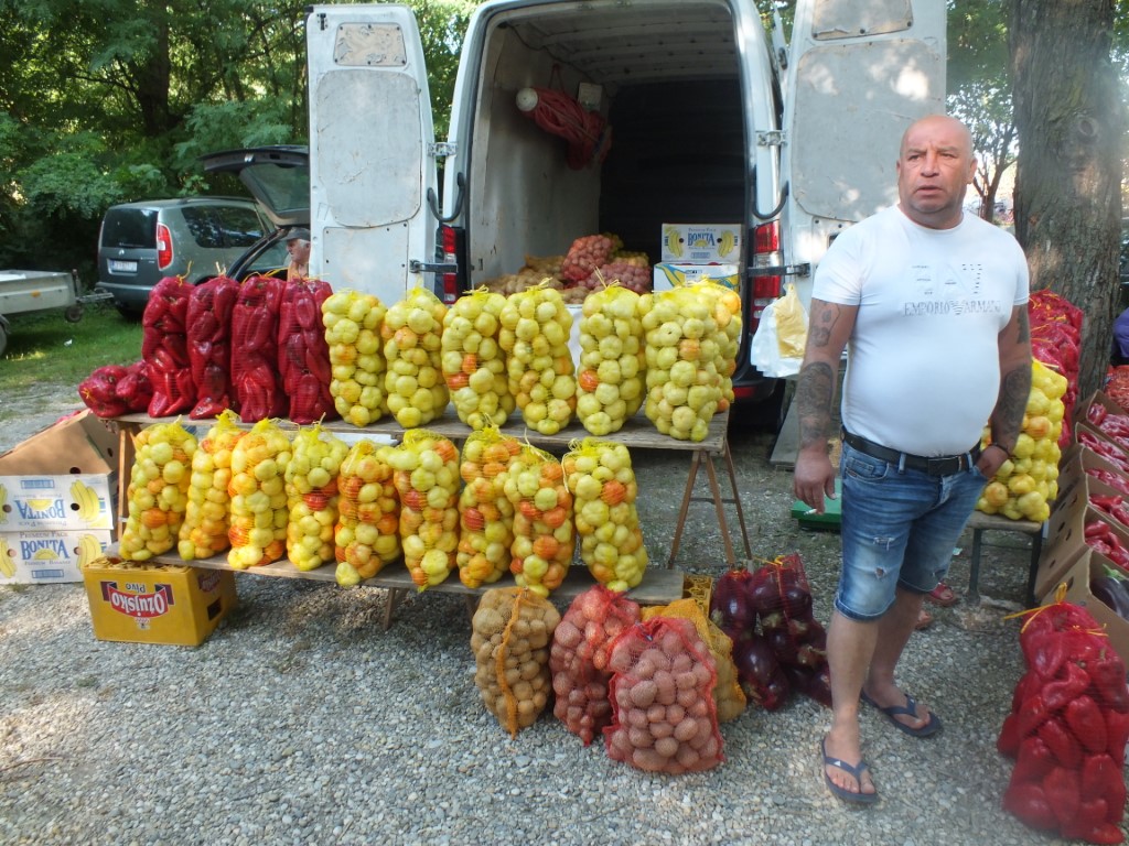 Image 5810863 (auto)