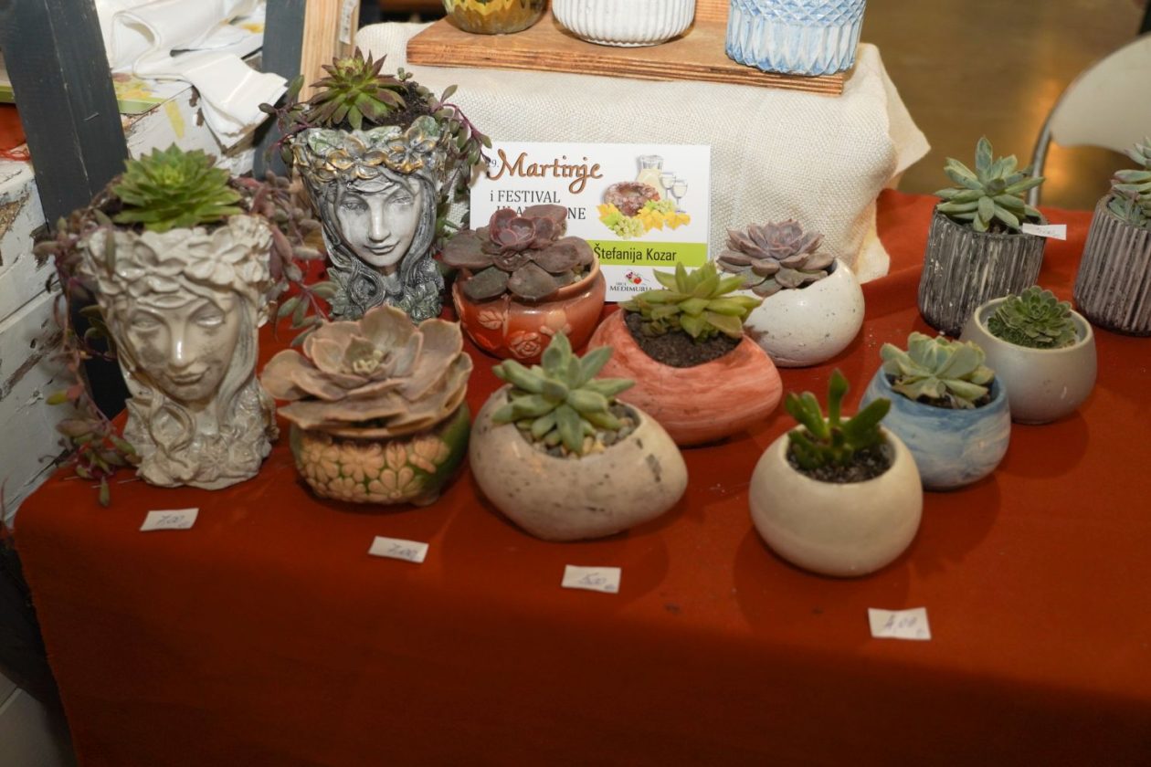 19. Martinje festival hladnetine Nedelišće Mesap (102)