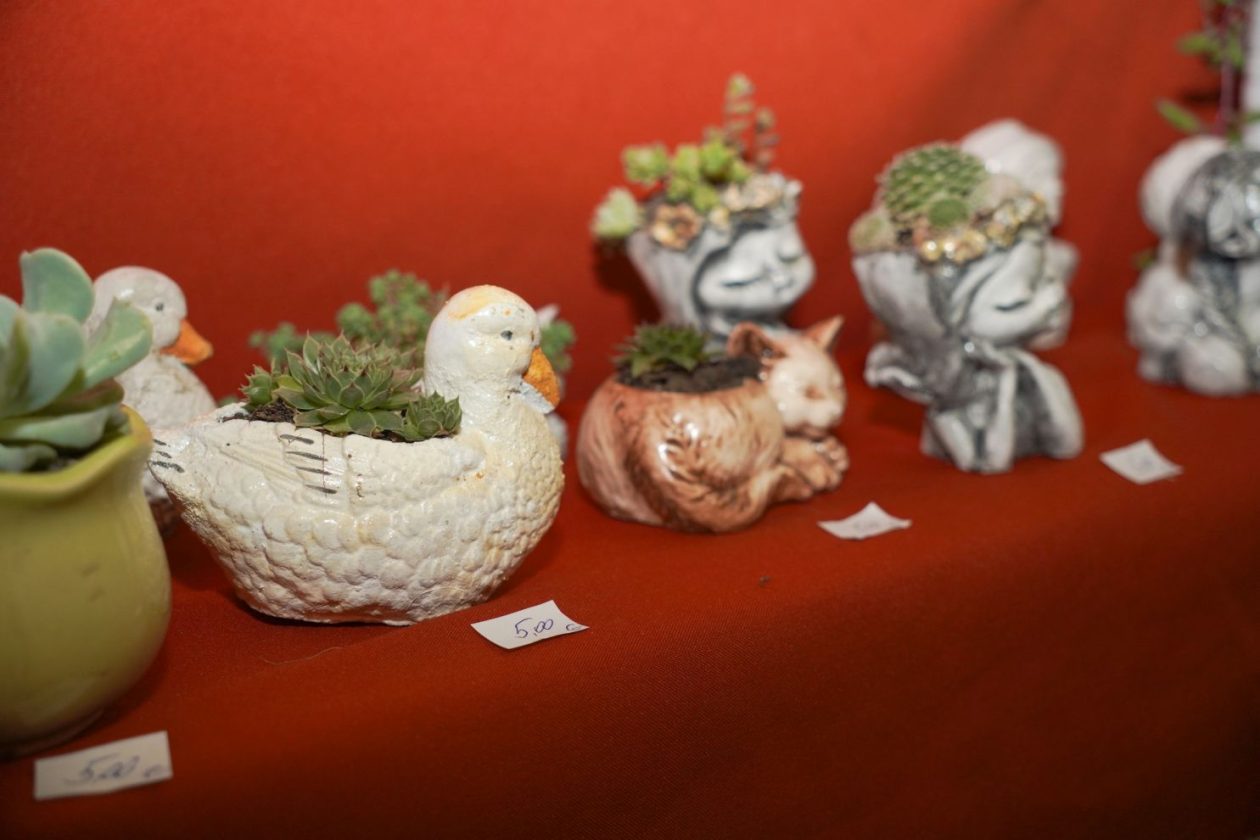 19. Martinje festival hladnetine Nedelišće Mesap (103)