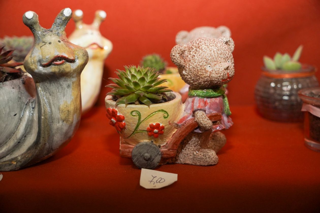 19. Martinje festival hladnetine Nedelišće Mesap (105)