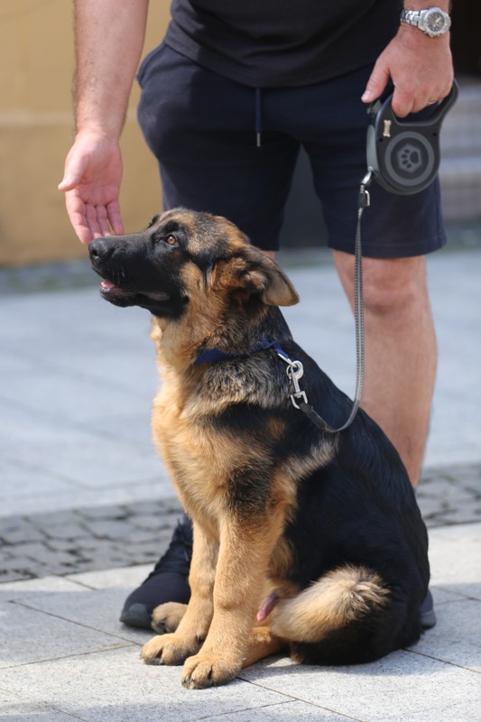 Klikom po Čakovcu 3.6.