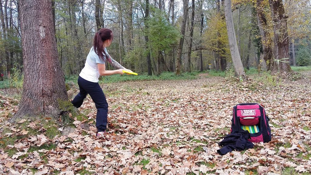 dravaforester20152564533