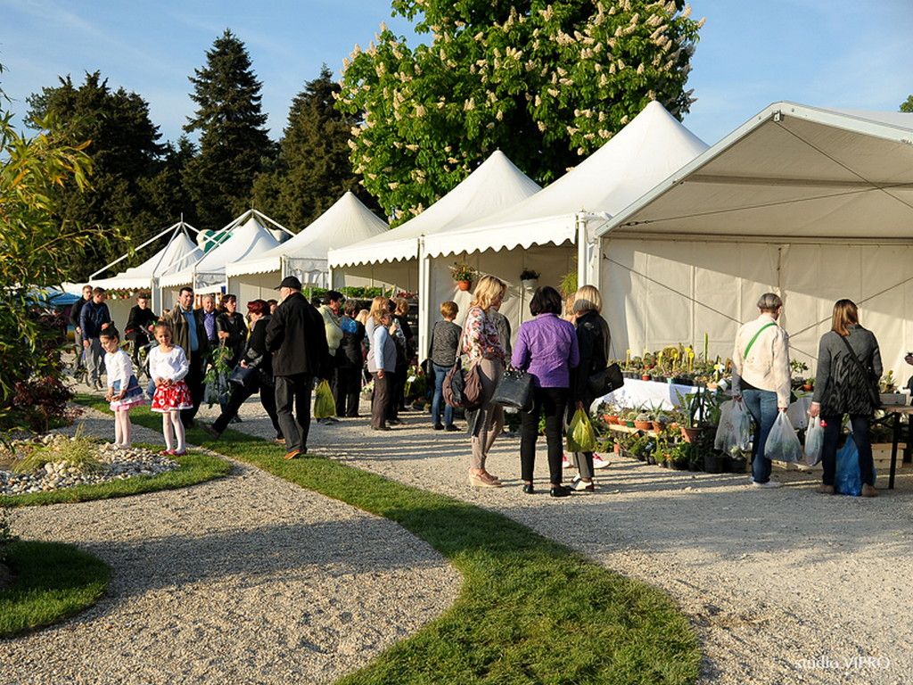 prelogsajamcvijeca0009109367