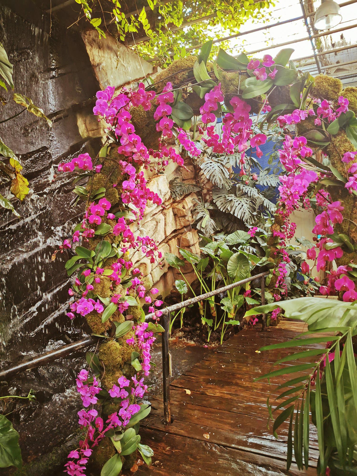 Image 5818451 (auto)