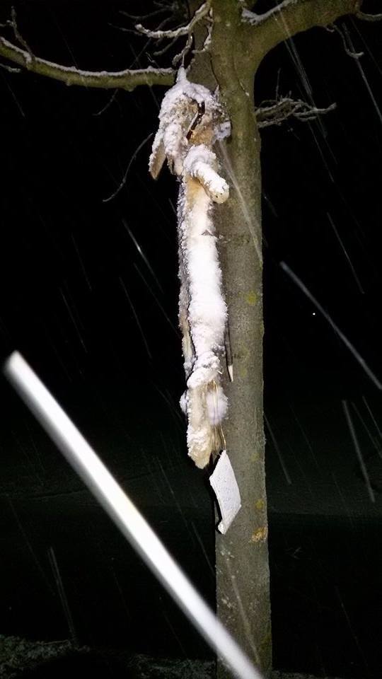 1087208319980345352375698591029