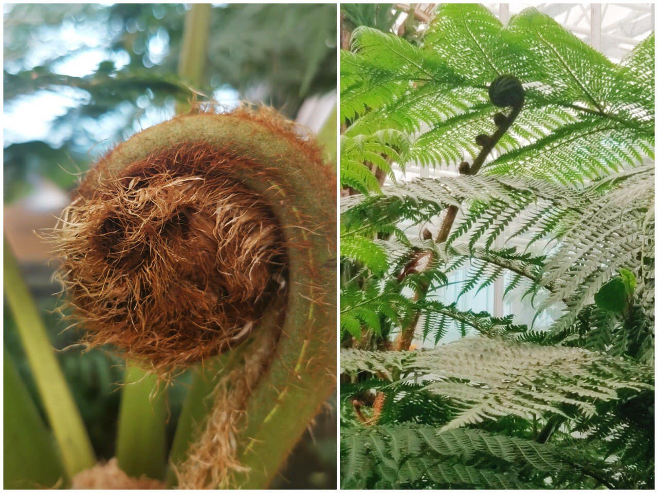 Image 5818469 (auto)