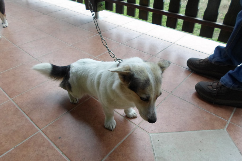 fotografija00004626139