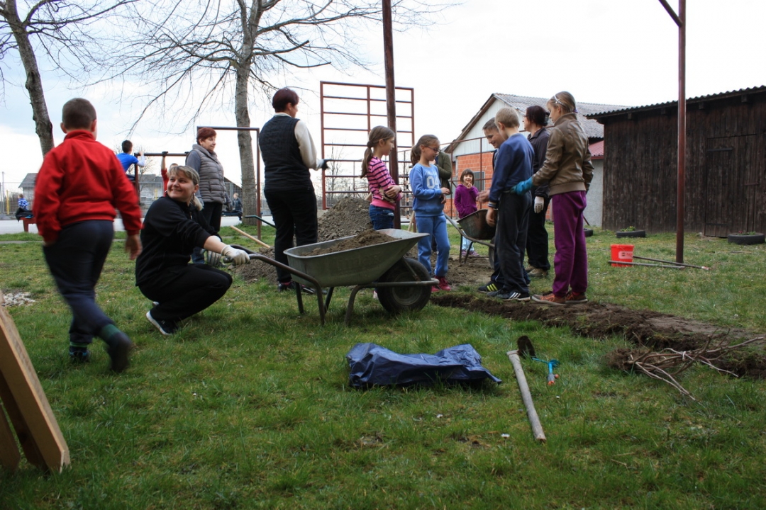 img4273resizekopija486095