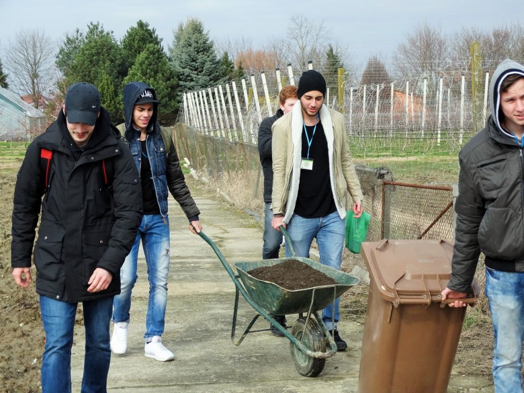 pripremakomposta304707