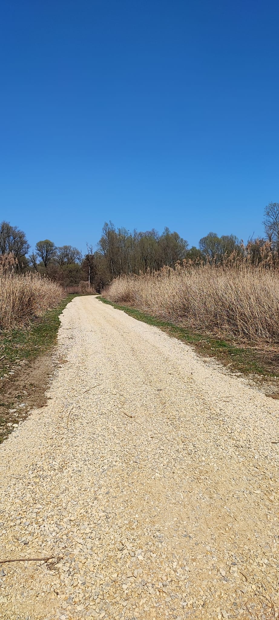 Šetnica svete Barbare uskoro još ugodnija za rekreaciju!