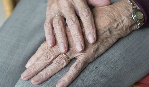 hand29064341280446785