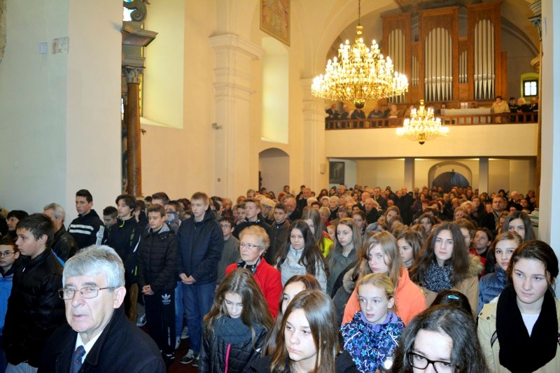 bacingermarija7a183264