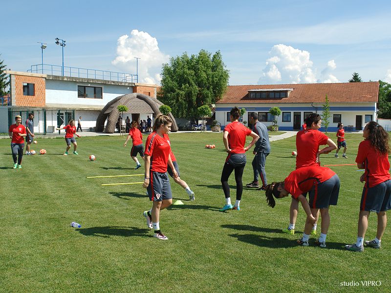 355215477dsc06570997262