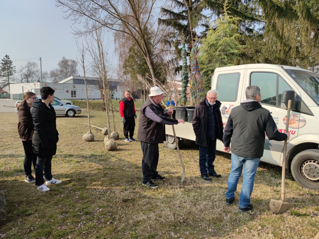 Belica, sadnja parka 2022