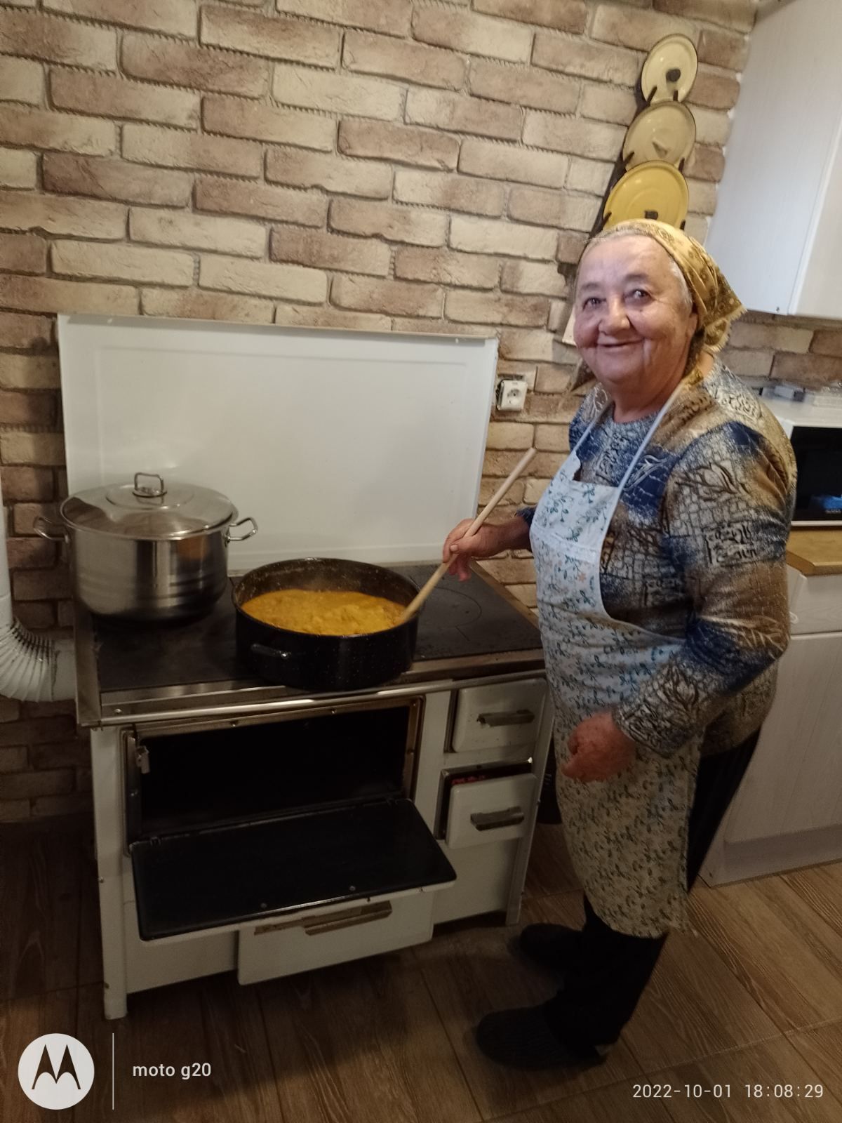 Branje kukuruza u Domašincu