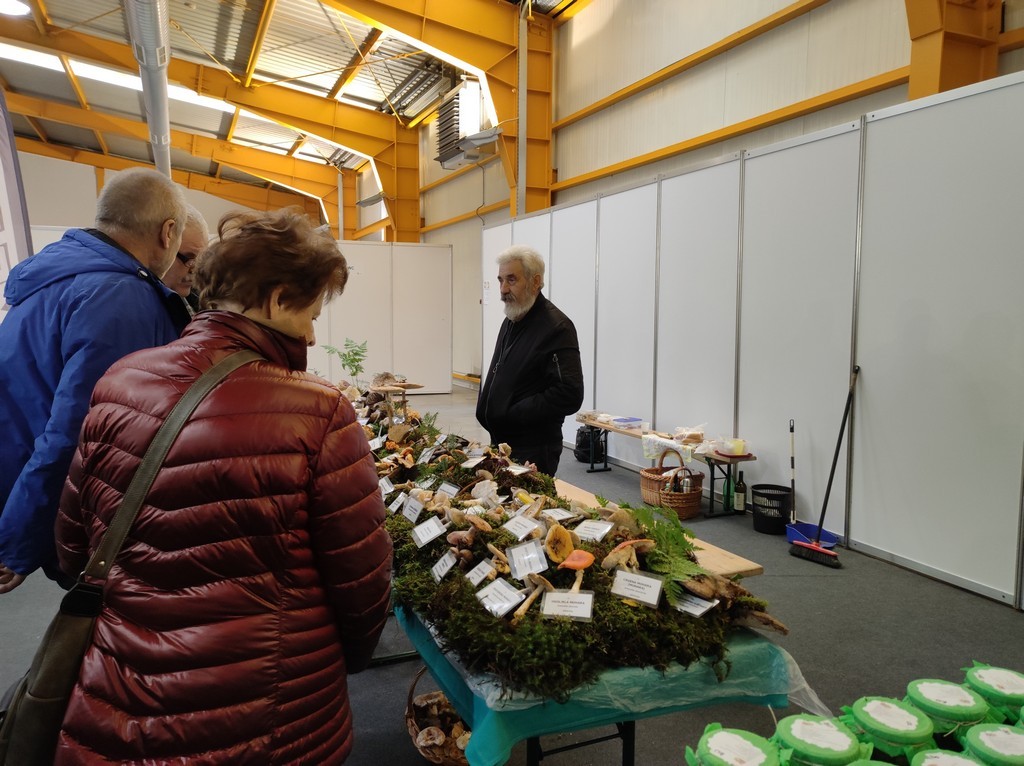 MESAP JESEN 2022 Više od 70 izlagača predstavlja se na sajamskoj manifestaciji u Nedelišću