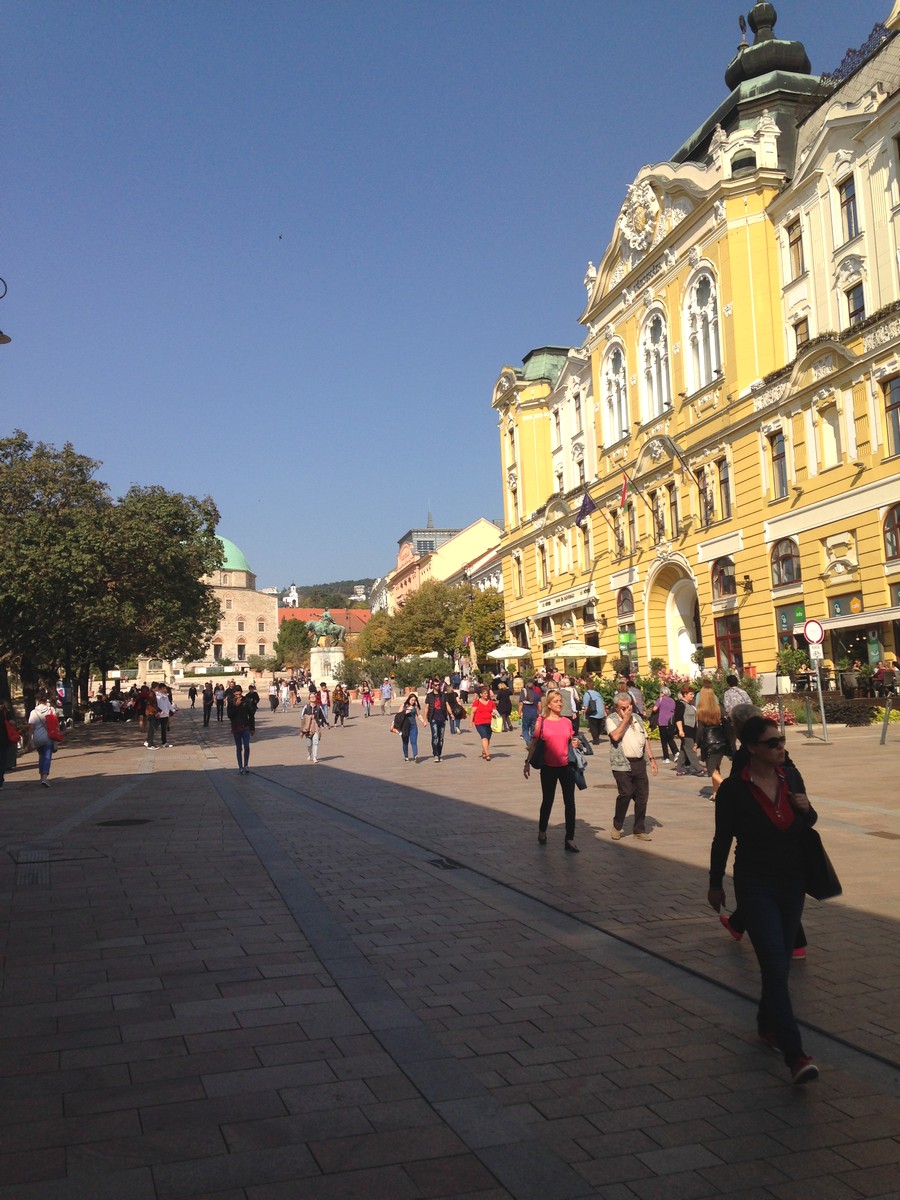 Međimurci Branko i Josip biciklirali u Siget i Pečuh
