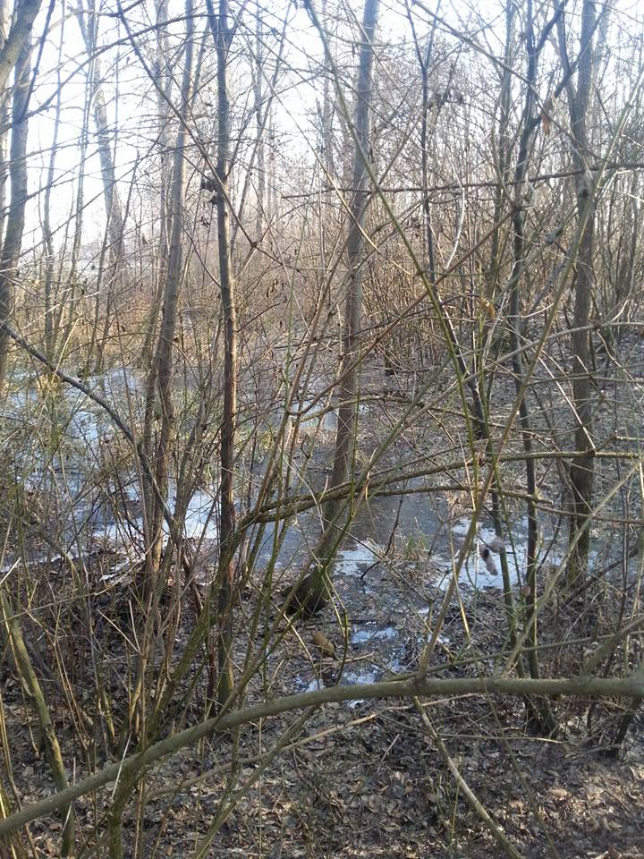 1254904054520289232488649989800